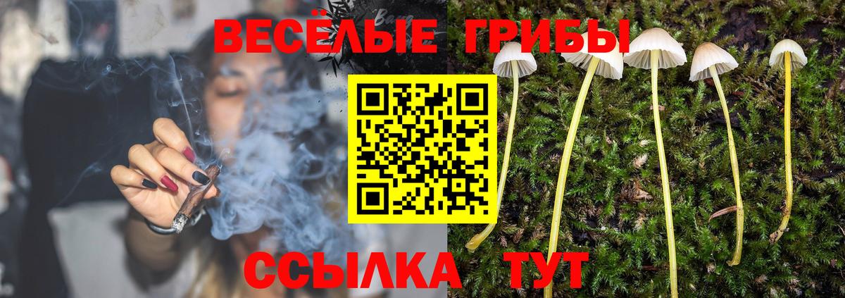 Галлюциногенные грибы прущие грибы  Галлюциногенные грибы GOLDEN TEACHER  Димитровград  Вход с VPN 