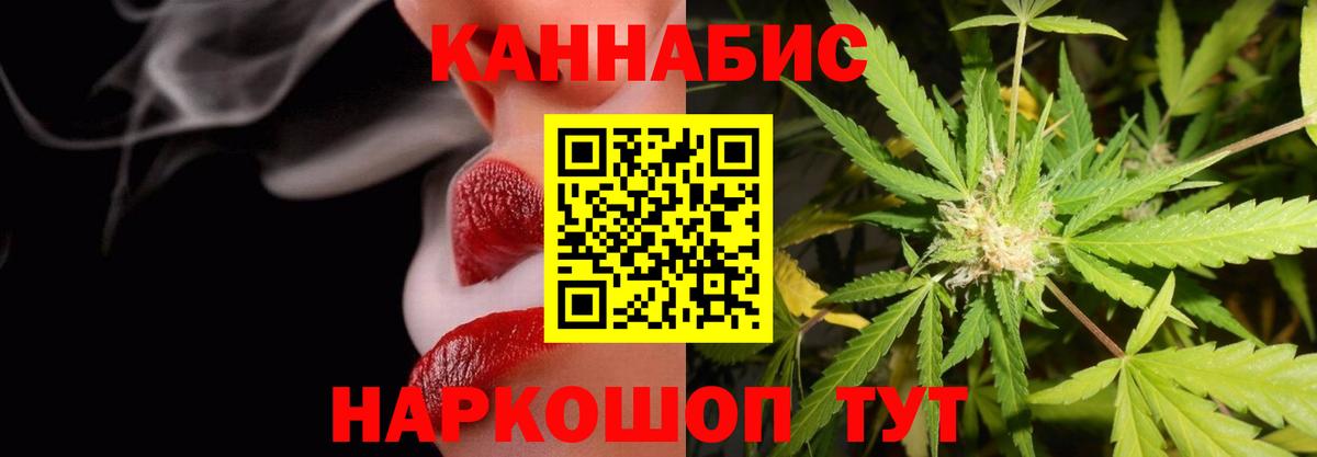 Марихуана планчик  Бошки марихуана марихуана  Вход с VPN  Шишки марихуана White Widow  Димитровград 